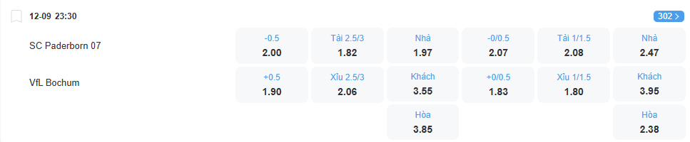 nhan-dinh-soi-keo-paderborn-vs-bochum-luc-23h30-ngay-12-9-2025-2